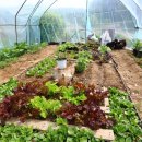 시냇가 펜션 이미지