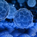 NK팩토리 이미지