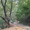 계족산황톳길 이미지