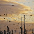 그라스 풀빌라 리조트 이미지