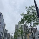 고산수자인디에스티지2단지아파트 | 커튼 블라인드 추천!!] 산곡동 고산수자인디에스티지2단지 고급스러운 전동 우드블라인드 설치 후기
