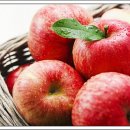 판교봉정형외과의원 이미지