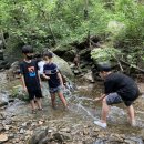 영조 세탁 이미지