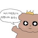 몰리 짐 네이버블로그