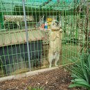 도혜원민박 이미지