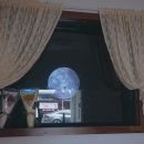 에이치콤마(H-COMMA) 이미지