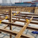 센띠에로 이미지