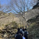 제주도(서귀포서부복지관) 학습 여행 2일차 : 제주도 관광, 한라산 윗세오름, 오션뷰 카페 이미지
