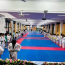 경희대 진 태권도 이미지