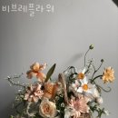 비브레 이미지