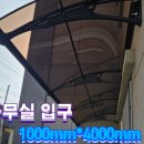 제주캐노픽스