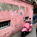 2026 3월4(수)-13(금)/ 조지아, 코카서스 이미지