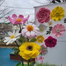 하단초등학교병설유치원 이미지