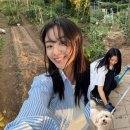 송지은 카카오 검색결과