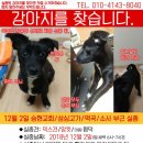 성심고가 이미지
