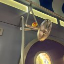 세계로과학 | 몰입형 전시, 문도픽사 ‘상상의 세계로’ 방문 후기 2 (엘리멘탈, 인사이드아웃, 라따뚜이, 코코)