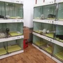 독스캣 강아지고양이 수원점 이미지