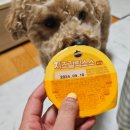 가마로강정망우역점 | 오늘의 야식은 <가마로 강정> 달콤한 맛, 불땡초 맛 :)
