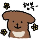 오프라이프 토스트