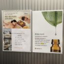 브릭스관광호텔 | 제주 서귀포 3인숙소 가성비호텔 : 제주브릭스 디럭스 코너룸