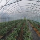 와야농장 이미지