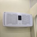 무마취 고양이 미용실 반할고양 이미지