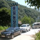 용일농장 이미지