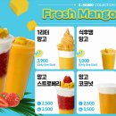 고망고 네이버블로그