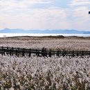 숨어우는 바람소리(이정옥) 이미지