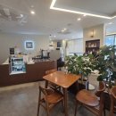 베스트웨스턴 호텔세종 | [세종/어진동]세종 건강한 음식, 포케 맛집 '샐요일 베스트웨스턴호텔 세종점' 내돈내산 방문후기