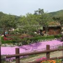 뿌리공원 Daum카페