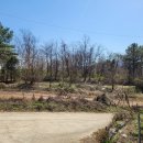 여주-1099 이미지