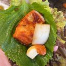 대구 막창 맛집 마시불 본점, 양념막창 아나고 후기