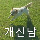 개신남 이미지