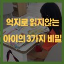 책나무검단해든독서논술학원