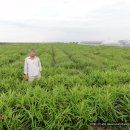 김규태 농장 이미지