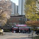 영수네 | 부평야장핫플|영수네포차 4월 후기