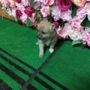 노와1리경로당 이미지