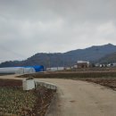 오일시2길(고성초) 이미지