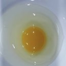 새벽알유통 이미지