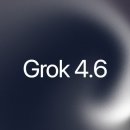 [URL] Grok 4.6 이미지