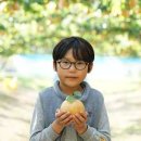 누렁이과수원 이미지