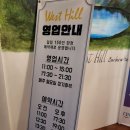 아이리스 | 충남 태안 웨스트힐 바베큐 하우스 첫 방문기