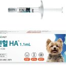 24시OK동물병원 이미지