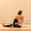 Ardha Matsyendrasana / 아르다 마첸드라사나 이미지