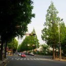 용호사거리(용호고 앞) 이미지