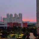 6일카센타 이미지