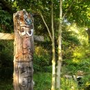 스테이구들 이미지