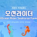 해마농장 이미지