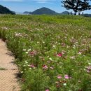 설리와카라반펜션 이미지